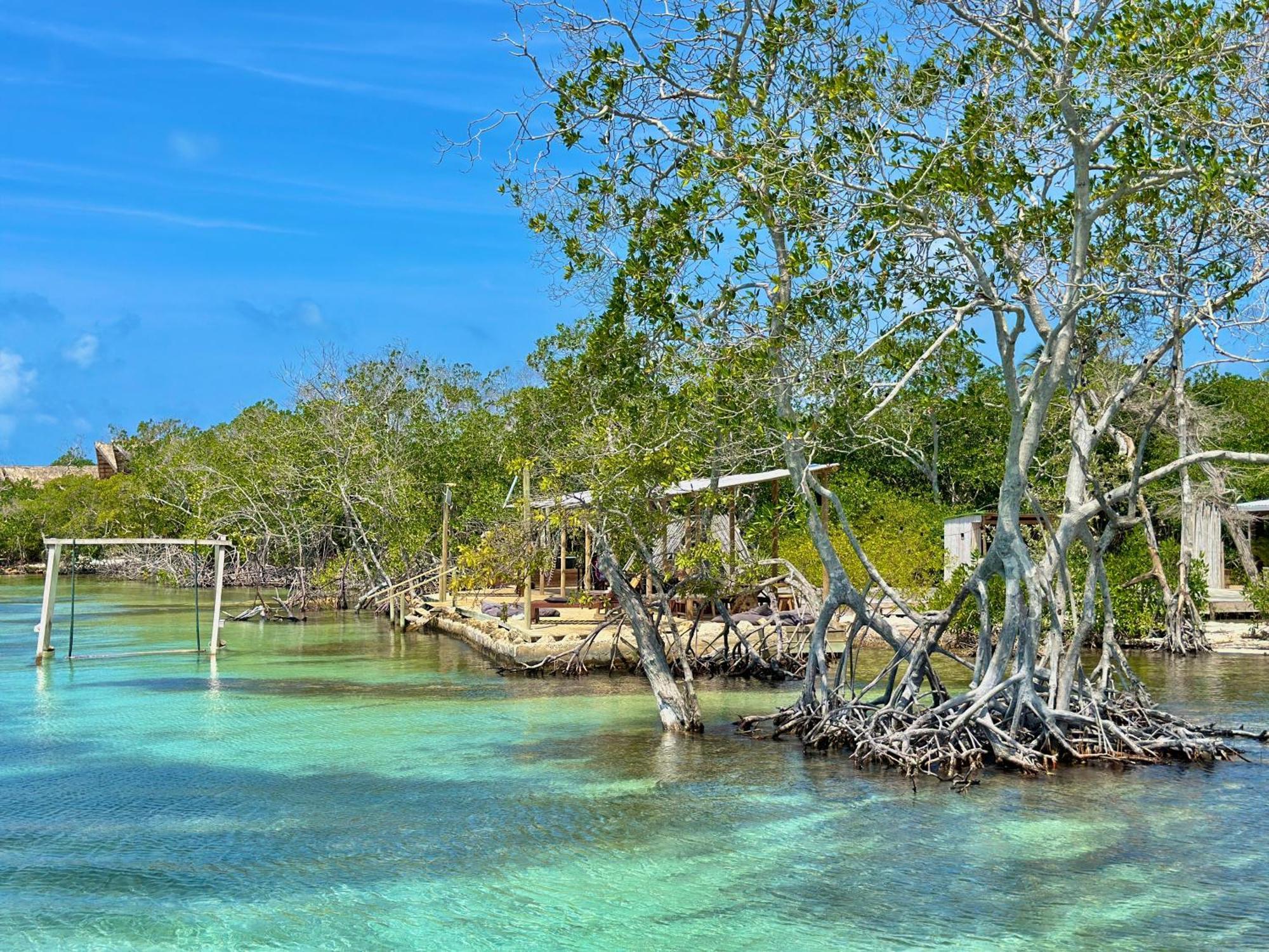 Medusa Hostel Isla Tintipan Tintipan Island Bagian luar foto