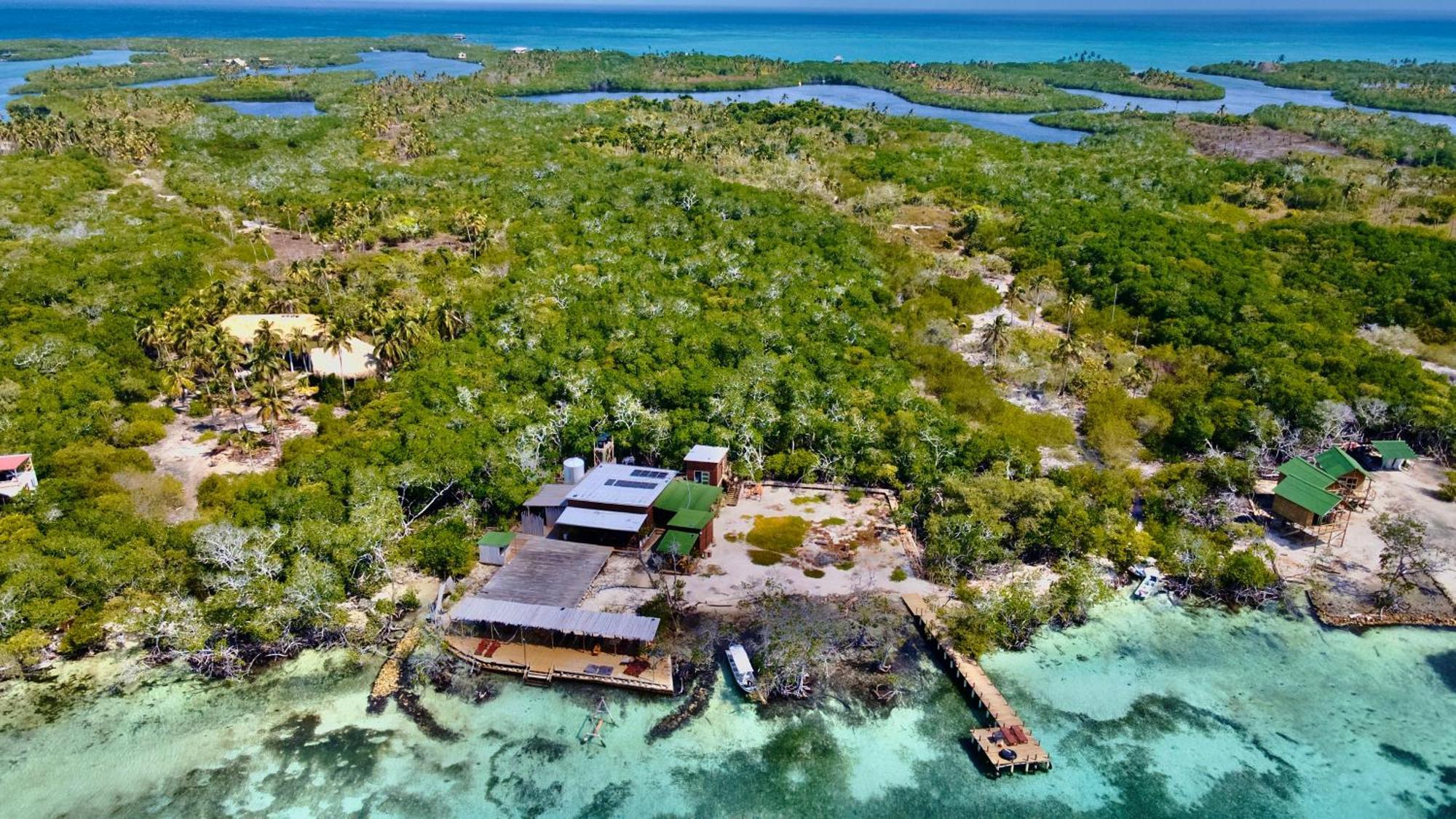 Medusa Hostel Isla Tintipan Tintipan Island Bagian luar foto